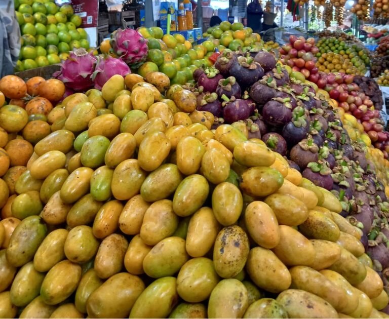 WhatsApp Image 2025-10-05 at 22.29.54_5eea640b